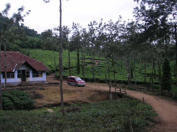 திருவிதாங்கூர் ராஜ வம்சத்தின் தளம்