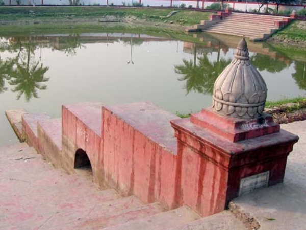  வித்தியாசமான உணவு வகைகள்