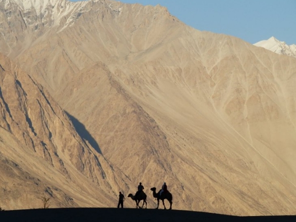 நூப்ரா பள்ளத்தாக்கு 