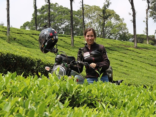 எப்படிச் செல்வது ? 