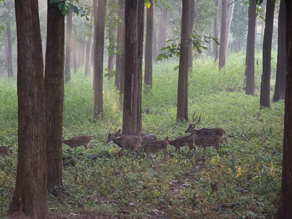 என்னவெல்லாம் உள்ளது ?