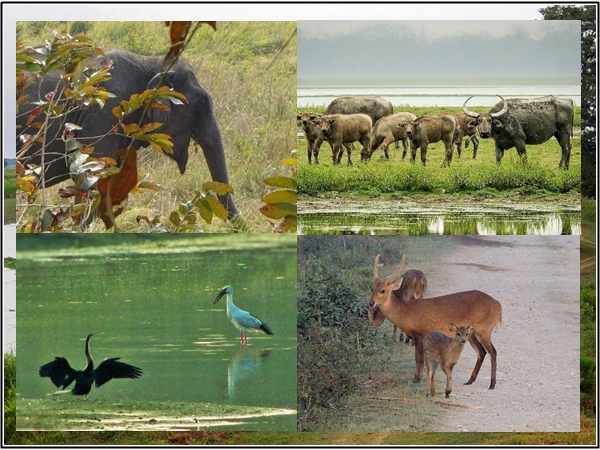 வேற என்னவெல்லாம் இருக்கு ? வேற என்னவெல்லாம் இருக்கு ?