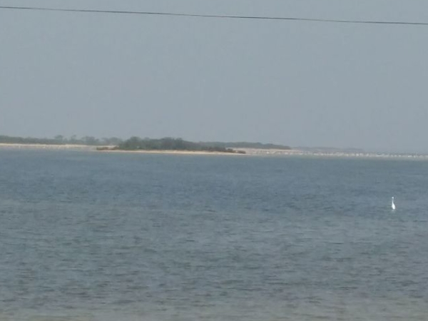 பெருமைகள் பெருமைகள்