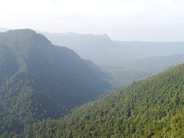 ஆகும்பே ஆகும்பே