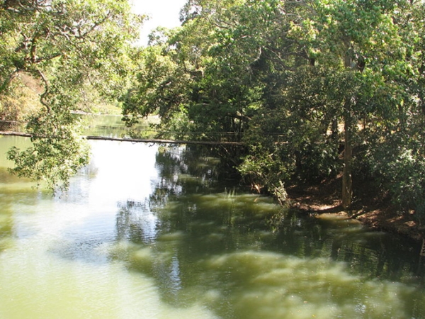 அற்புதத் தீவு