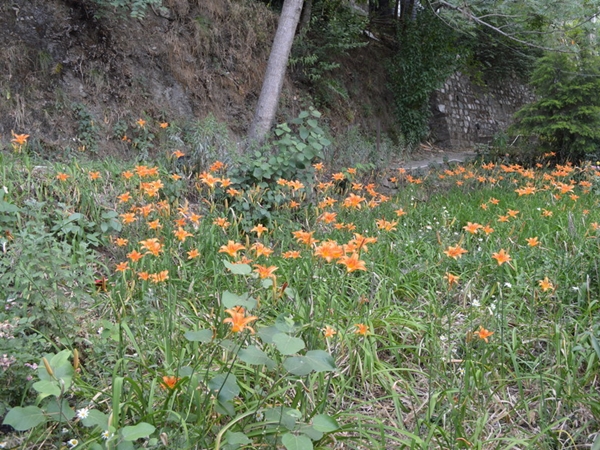 கொஞ்சம் செலவு மன நிறைவு