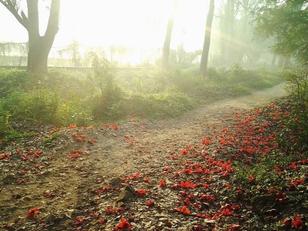  ராஜ்கிர்
