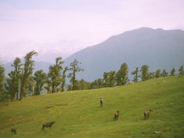 எப்படி செல்லலாம்