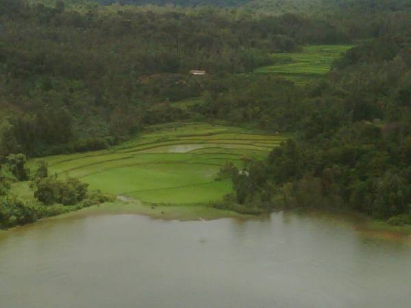 ஹொன்னம்மன கேரே ஹொன்னம்மன கேரே