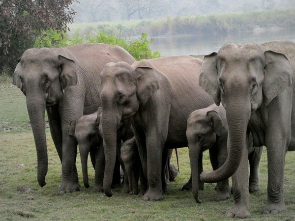 லெட்ஸ் டேக் செல்ஃபியா... லெட்ஸ் டேக் செல்ஃபியா...