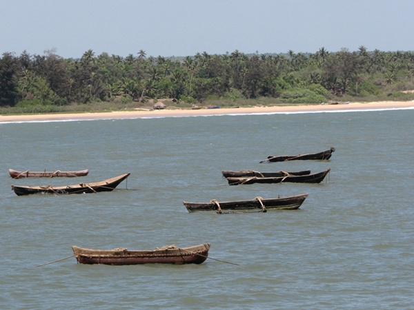 வெங்குர்லா 