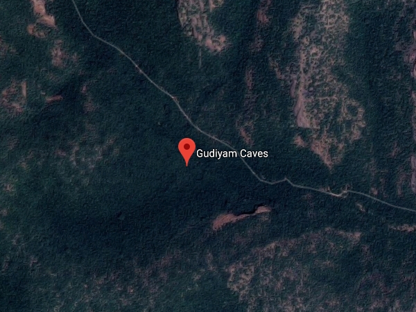 சுற்றியும் என்னெல்லாம் இருக்கு தெரியுமா ?