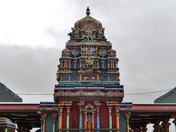 நேர்த்திக்கடன் நேர்த்திக்கடன்