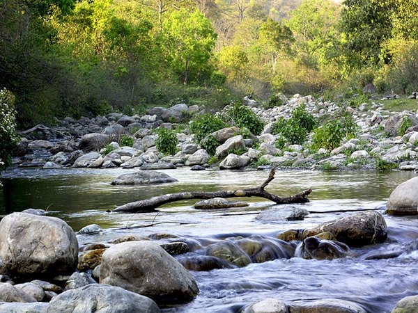 கார்பெட் தேசிய பூங்காவில் மீன் பிடிப்பு