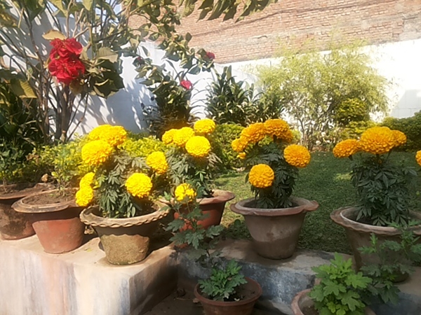 நர் மலைத்தொடர்கள்