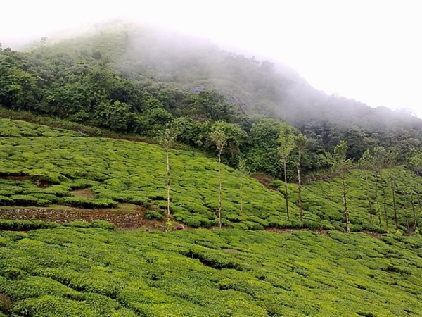 செம்பரா சிகரம் செம்பரா சிகரம்