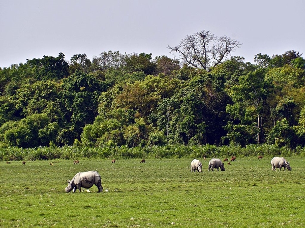 வனவிலங்கு சரணாலயம்