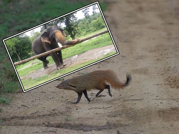 சாகச பயணம்