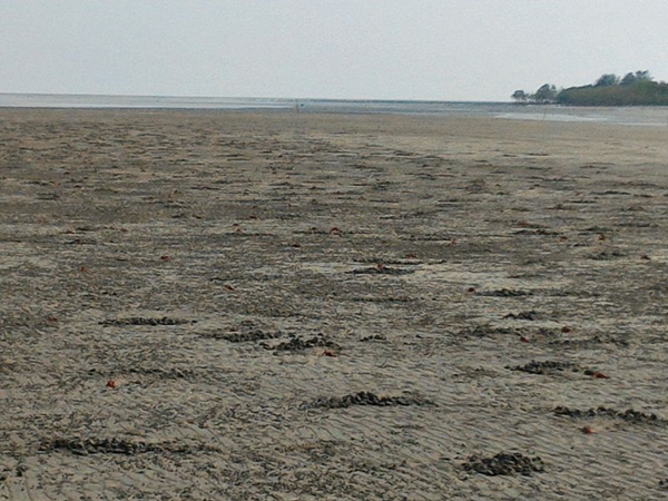 சுற்றுலா அம்சங்கள் 