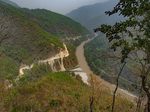  இலையுதிர் மரங்கள்