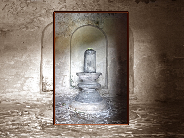 என்ன சிறப்பு ?