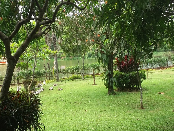 தட்சின கன்னடா