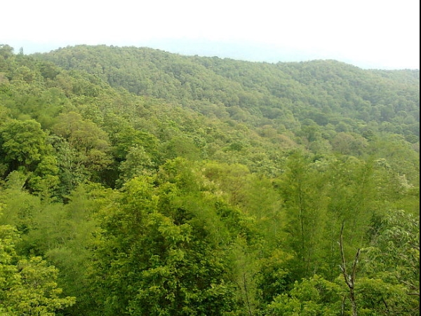 பரம்பிக்குளம் காட்டுயிர் சரணாலயம்