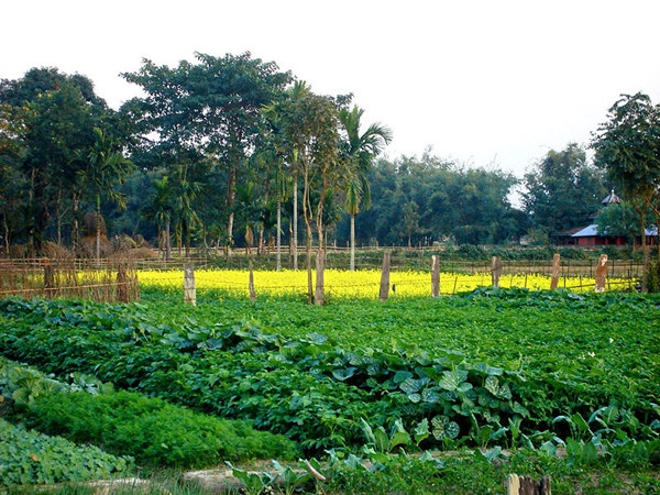 செழிப்பான காட்டுயிர் அம்சங்கள் செழிப்பான காட்டுயிர் அம்சங்கள்