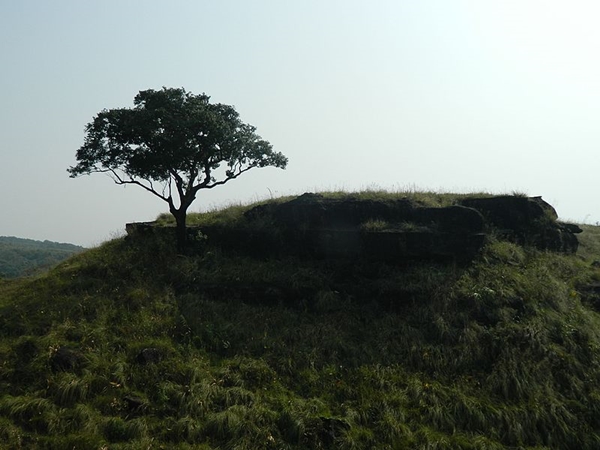 பல்பக்ராம் பல்பக்ராம்