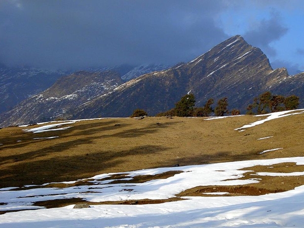 சோப்தா