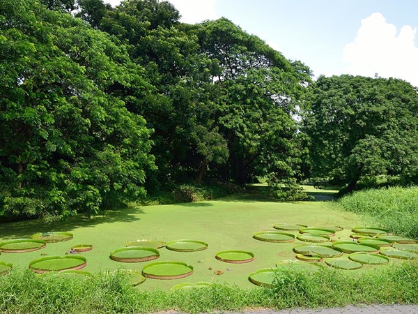 ஹௌரா சுற்றியுள்ள சுற்றுலாத் தலங்கள்