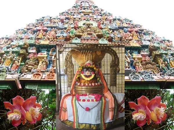 நேர்த்திக்கடன்