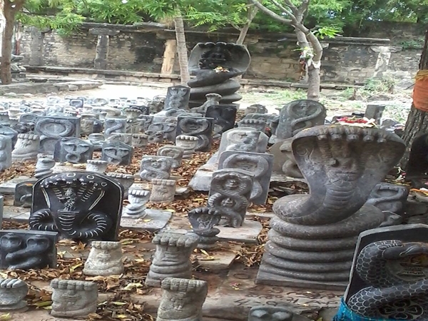 கோவில் சிறப்பு