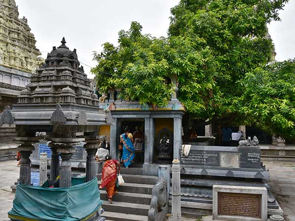 கைலாசநாதர் கோவில்: