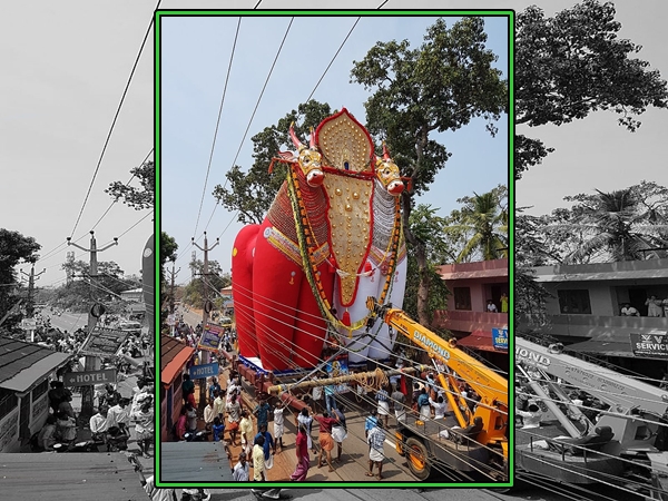 திருவிழா திருவிழா