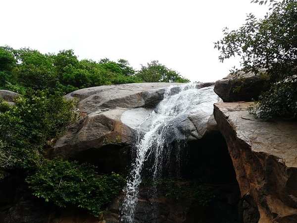 ஏலகிரி இயற்கைப் பூங்கா