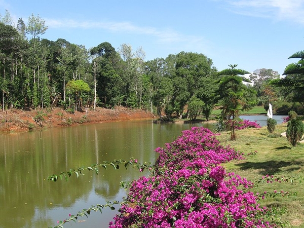 கொல்லிமலை கொல்லிமலை