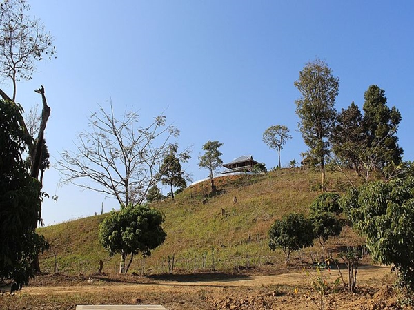 தெஞ்ஜாவ்ல் 