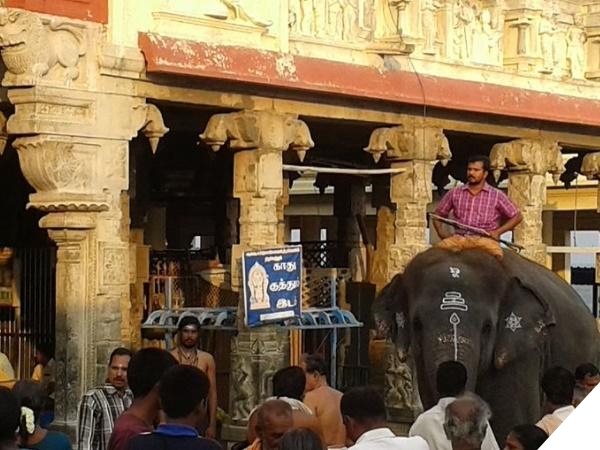 திருச்செந்தூர் 