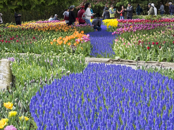 ஹரித்வார் டூ கங்காரியா