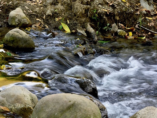  கார்பெட் தேசிய பூங்கா