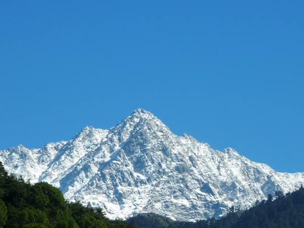 மெக்லியோகஞ்