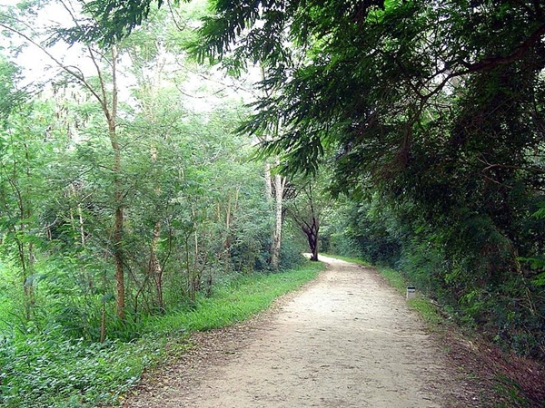 குக்கரஹல்லி ஏரி குக்கரஹல்லி ஏரி