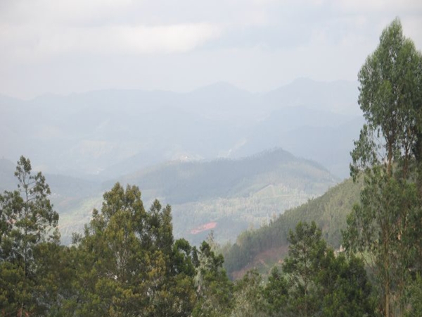 முதுமலை முதுமலை