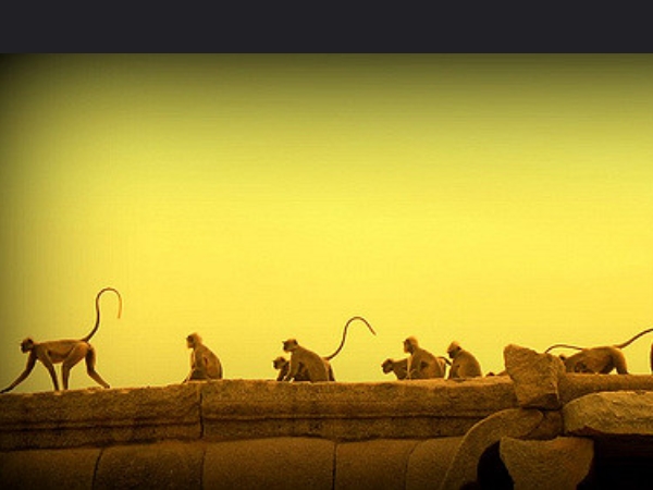 கர்நாடக சுற்றுலா