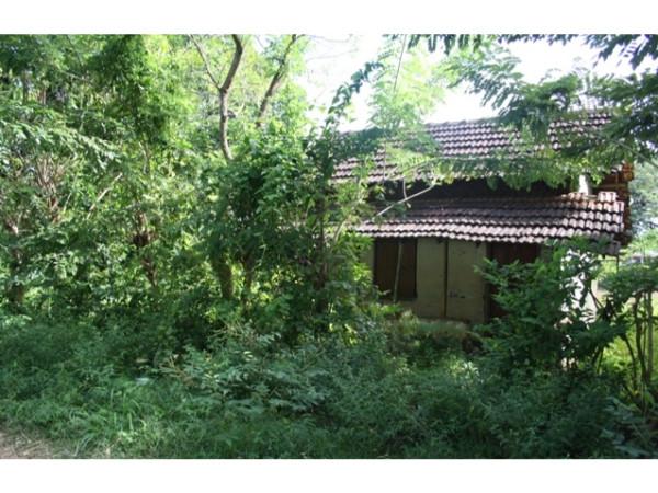 வால்மீகி நகர் 