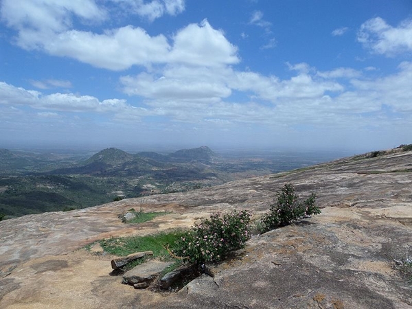 அசத்தும் அழகு