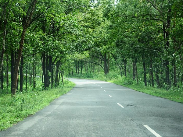 பெங்களூர்- பந்திப்பூர் பெங்களூர்- பந்திப்பூர்