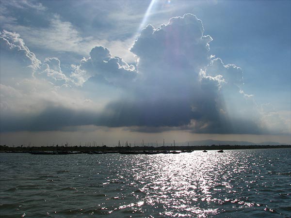 பழவேற்காடு (Pulicat) : பழவேற்காடு (Pulicat) :