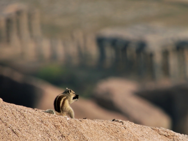 சாகசப் பிரியர்களே